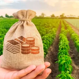 Reforma tributário no Agro negócio