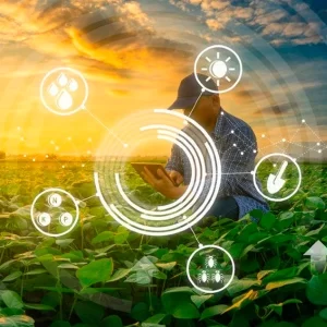 transformação empresarial do agronegócio